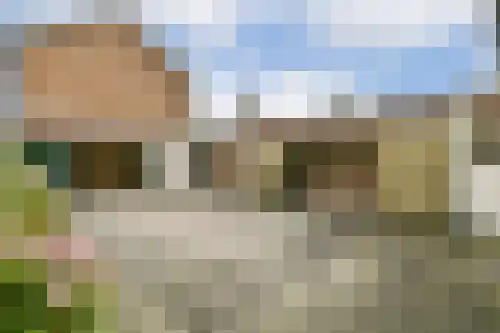Vijfmeiweg 21 Sassenheim thumbnail 9
