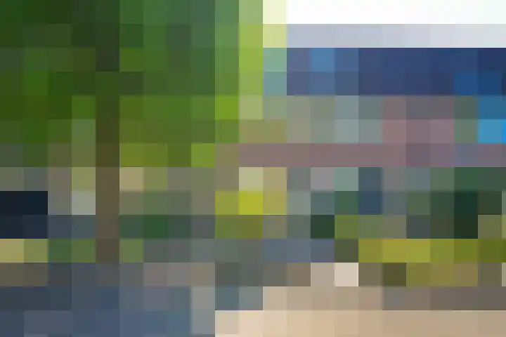 Vijfmolens 10 Kedichem