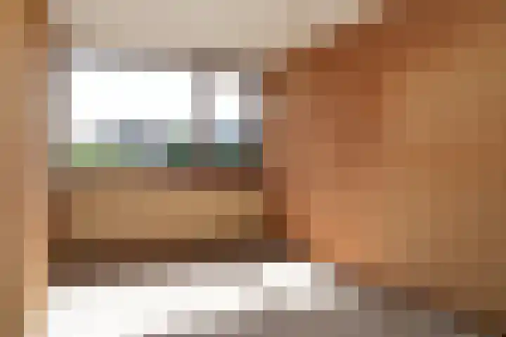 Vijfmolens 10 Kedichem thumbnail 11