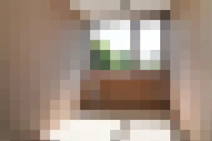 Vijfmolens 10 Kedichem thumbnail 12