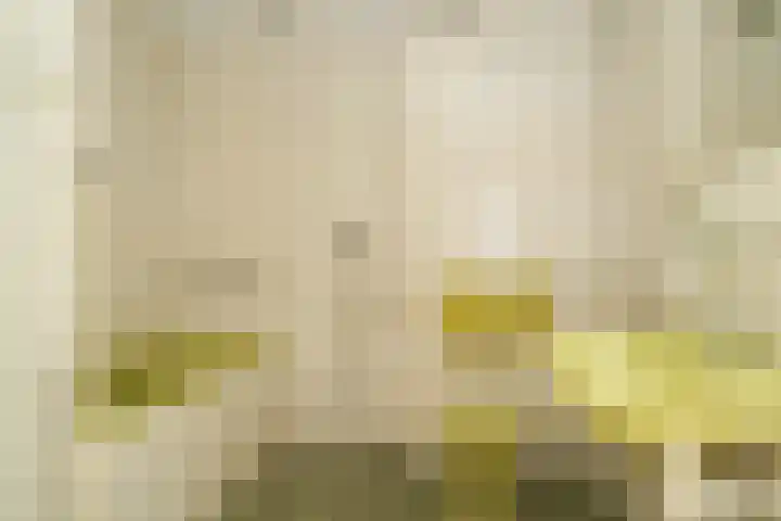 Vijfmolens 10 Kedichem thumbnail 13