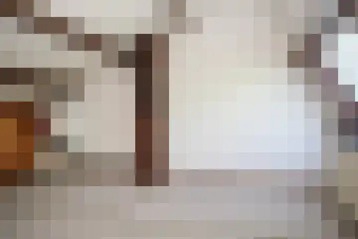 Vijfmolens 10 Kedichem thumbnail 16