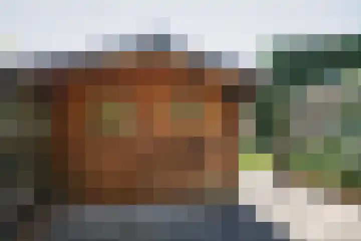 Vijfmolens 10 Kedichem thumbnail 21