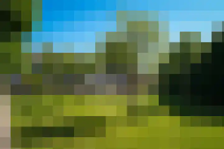 Vijfmolens 10 Kedichem thumbnail 22