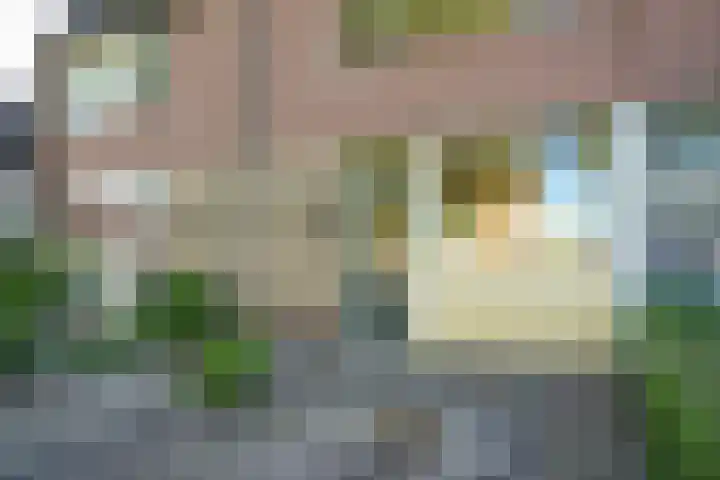 Vijfmolens 10 Kedichem thumbnail 23