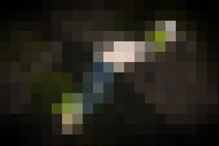 Vijfmolens 10 Kedichem thumbnail 24