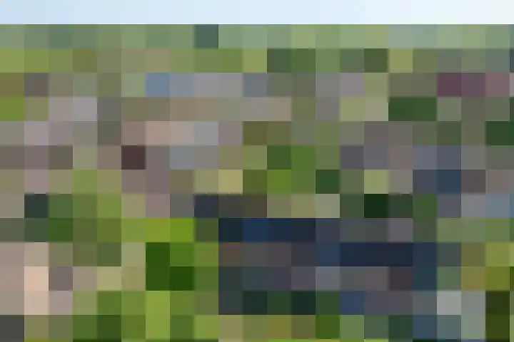 Vijfmolens 10 Kedichem thumbnail 25