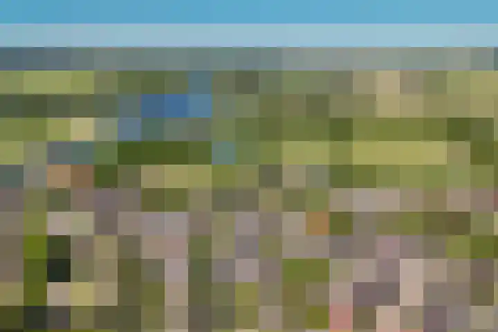 Vijfmolens 10 Kedichem thumbnail 26