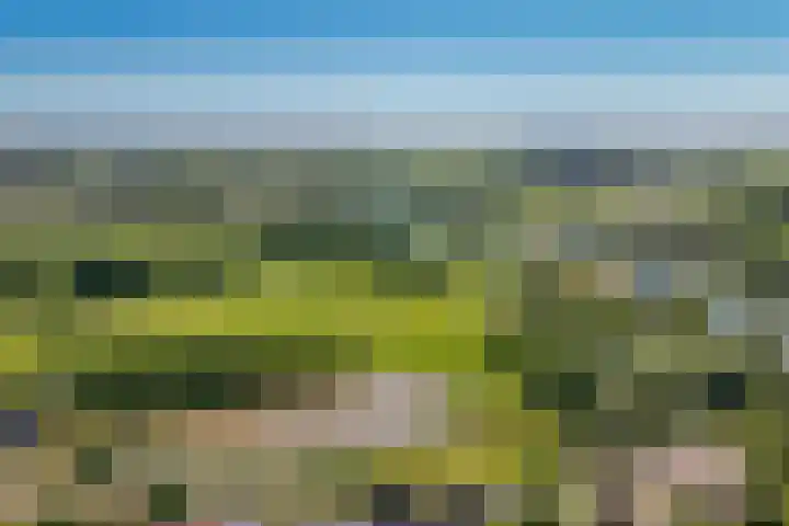 Vijfmolens 10 Kedichem thumbnail 27