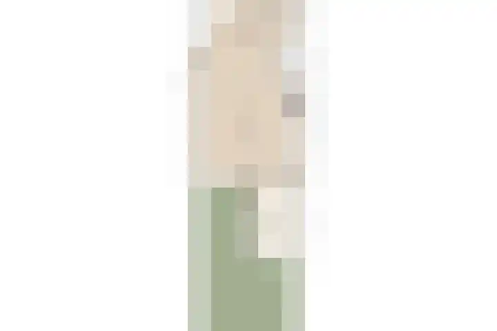 Vijfmolens 10 Kedichem thumbnail 31