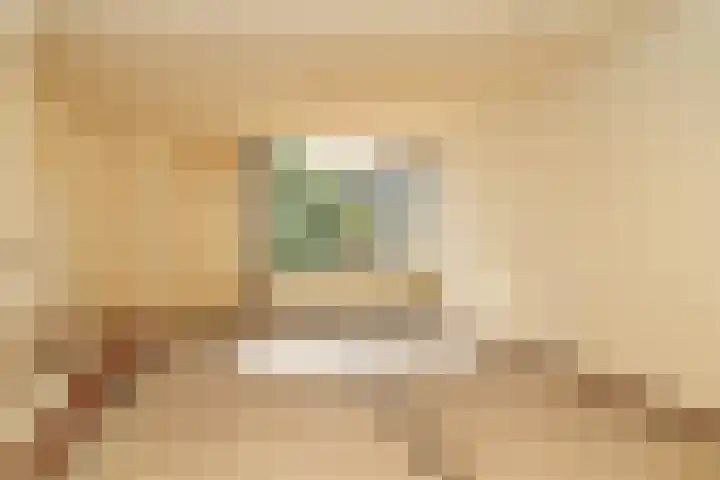 Vijfmolens 10 Kedichem thumbnail 6