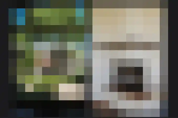 Vijfmolens 10 Kedichem thumbnail 9
