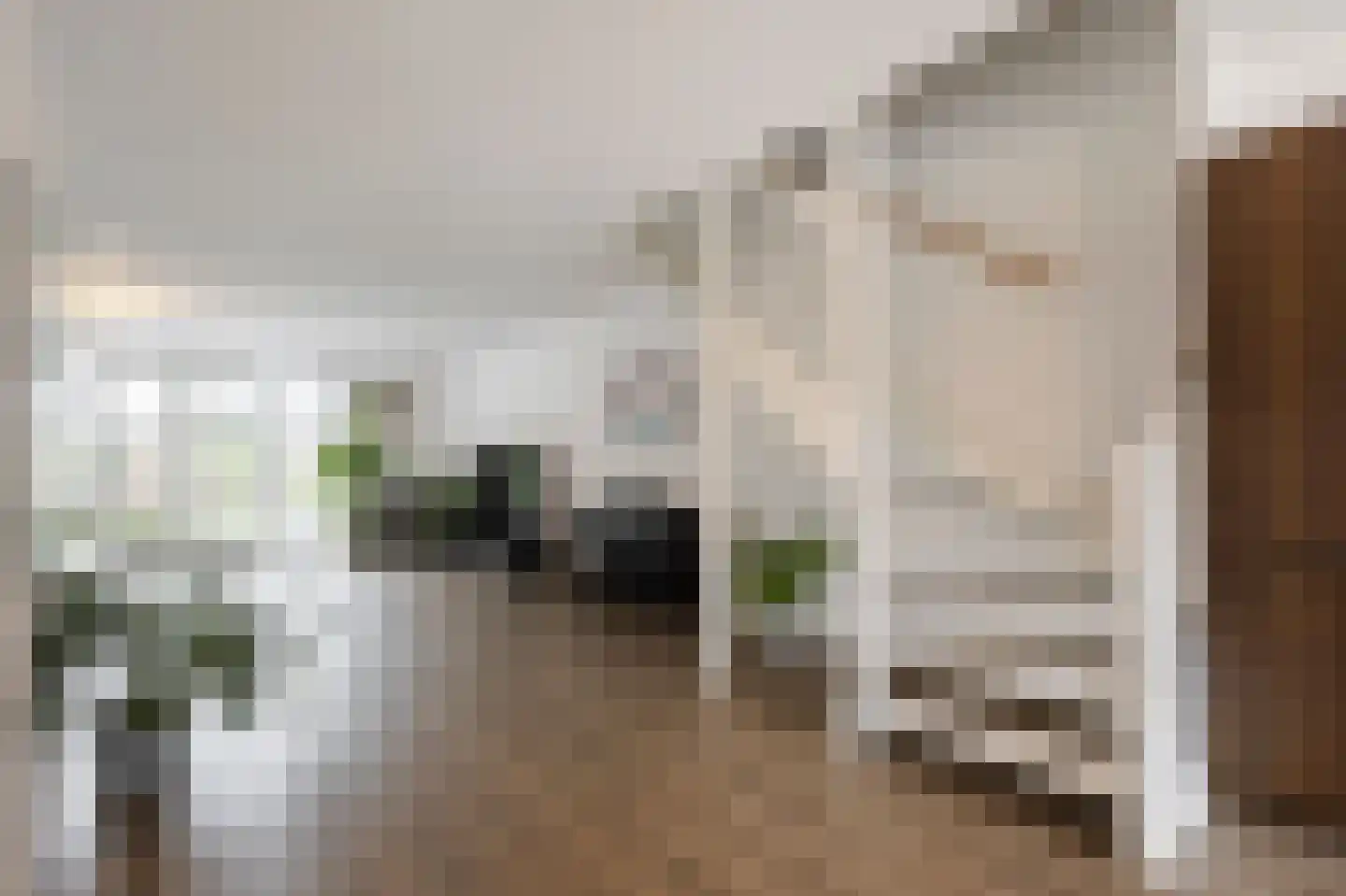 Vijfmorgen 2 h Rijswijk (NB) thumbnail 20