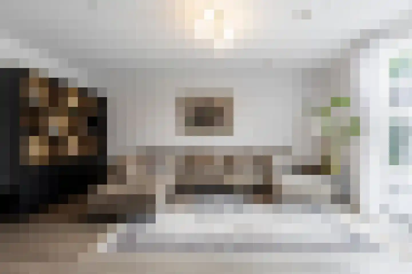 Vijfmorgen 2 h Rijswijk (NB) thumbnail 21