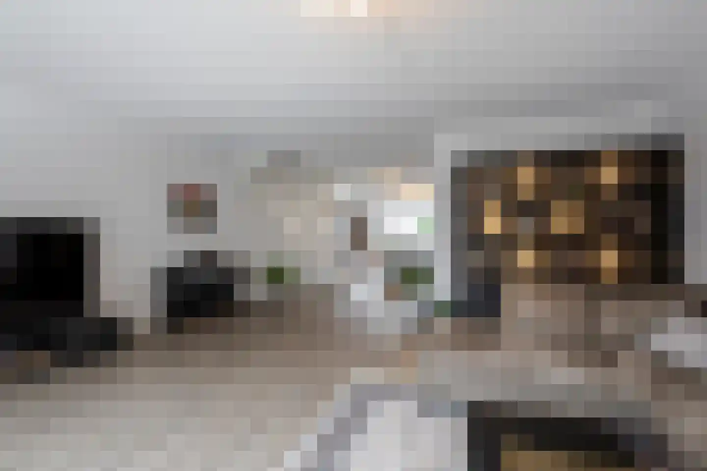 Vijfmorgen 2 h Rijswijk (NB) thumbnail 22
