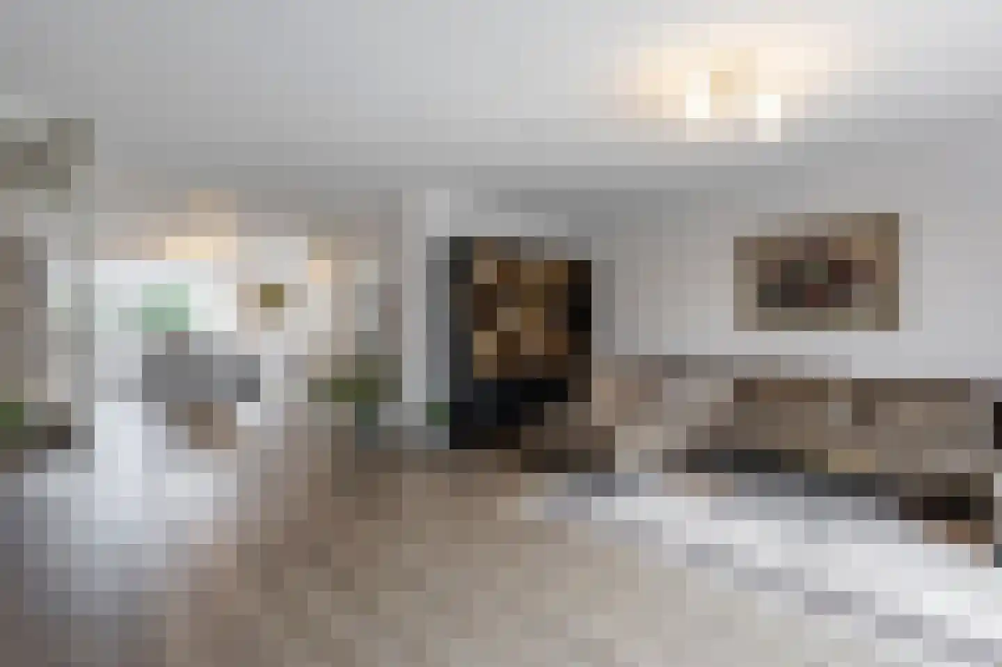 Vijfmorgen 2 h Rijswijk (NB) thumbnail 23