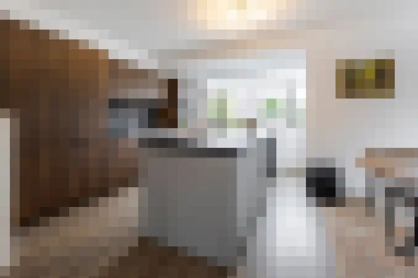 Vijfmorgen 2 h Rijswijk (NB) thumbnail 26