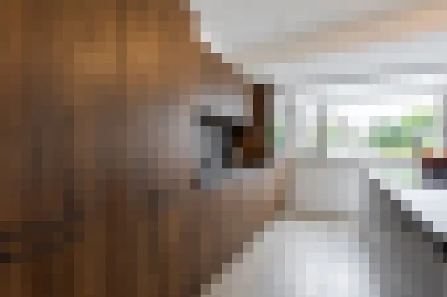 Vijfmorgen 2 h Rijswijk (NB) thumbnail 31