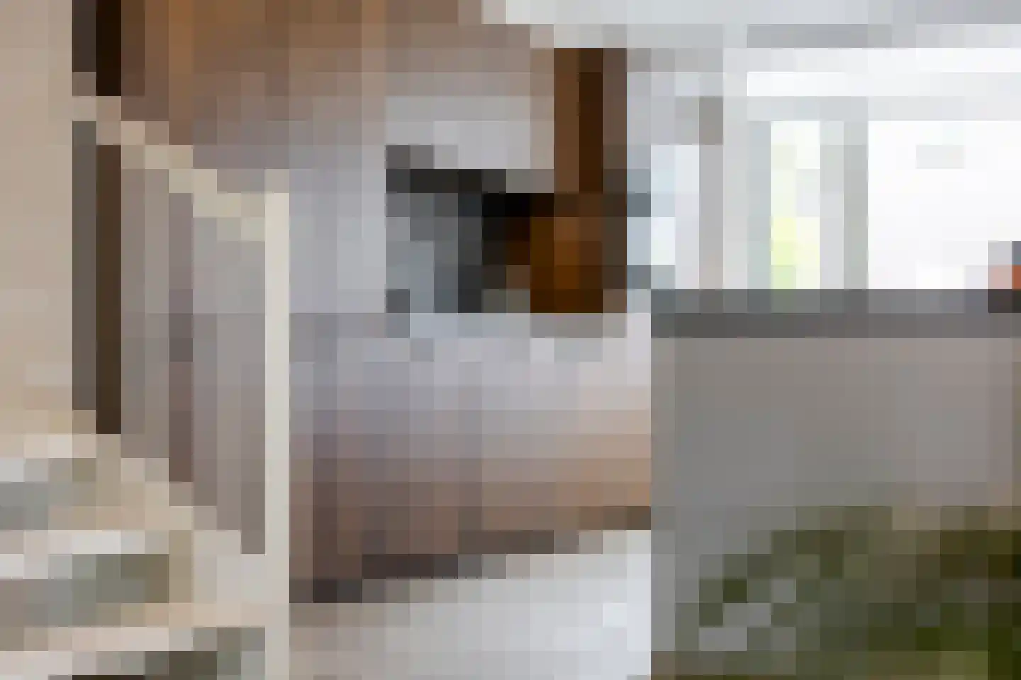 Vijfmorgen 2 h Rijswijk (NB) thumbnail 32
