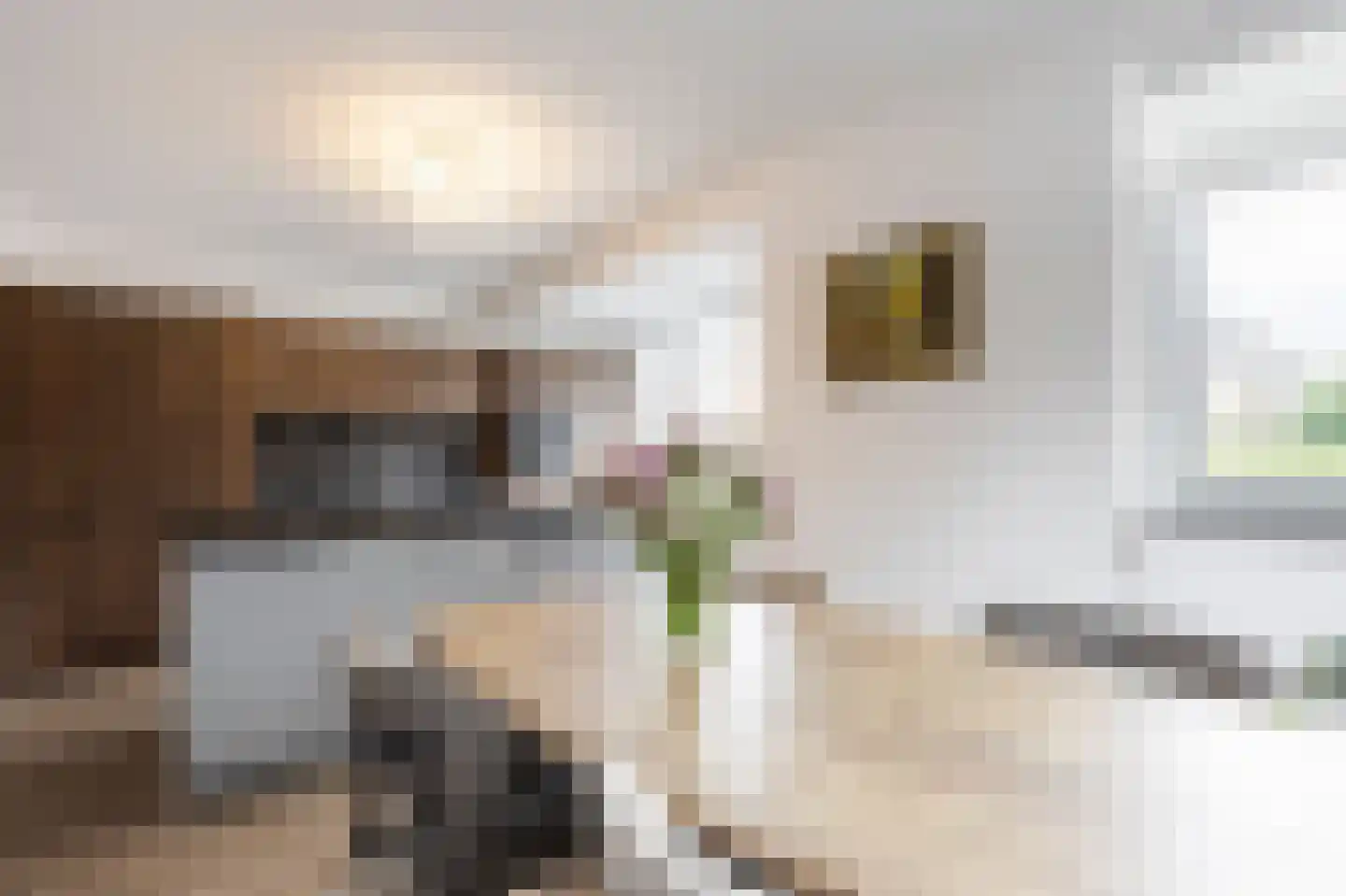 Vijfmorgen 2 h Rijswijk (NB) thumbnail 33