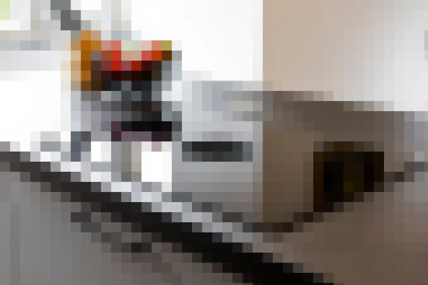Vijfmorgen 2 h Rijswijk (NB) thumbnail 38