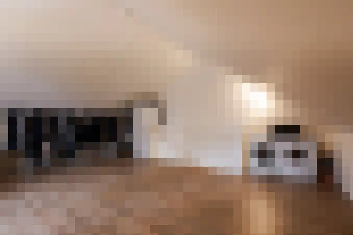Vijfmorgen 2 h Rijswijk (NB) thumbnail 53