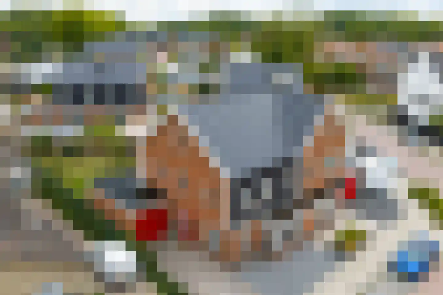 Vijfmorgen 2 h Rijswijk (NB) thumbnail 54