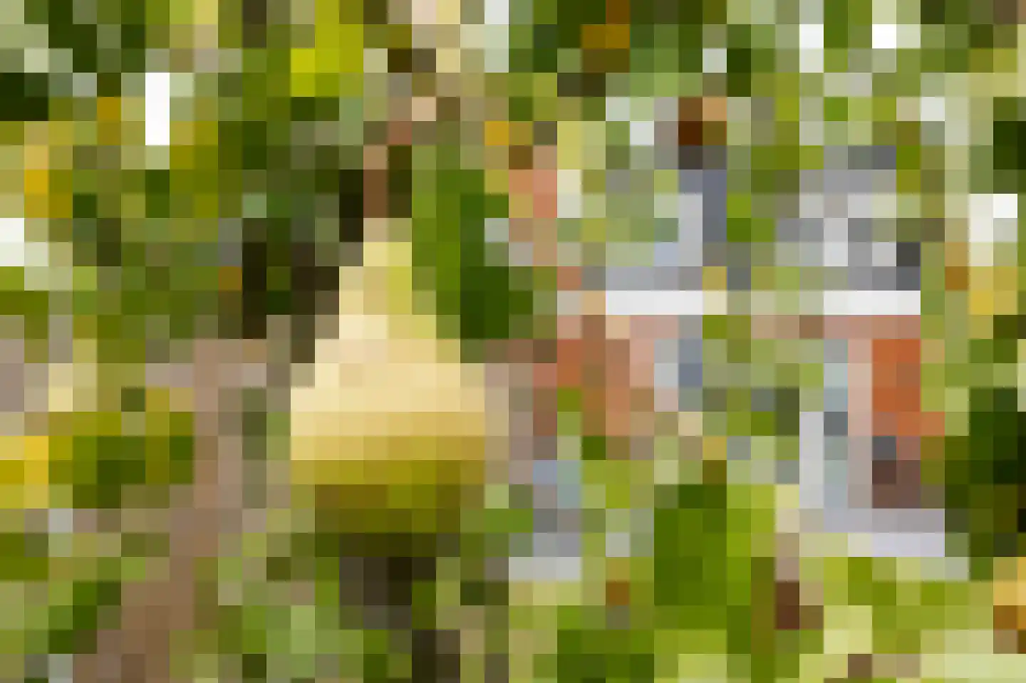Vijfmorgen 2 h Rijswijk (NB) thumbnail 62