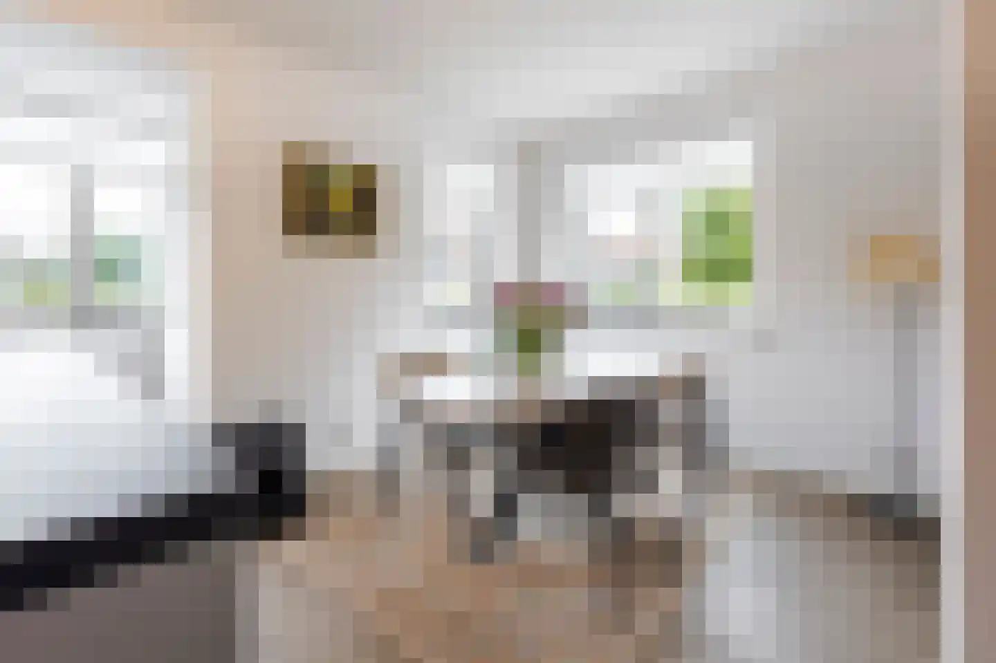 Vijfmorgen 2 h Rijswijk (NB) thumbnail 7