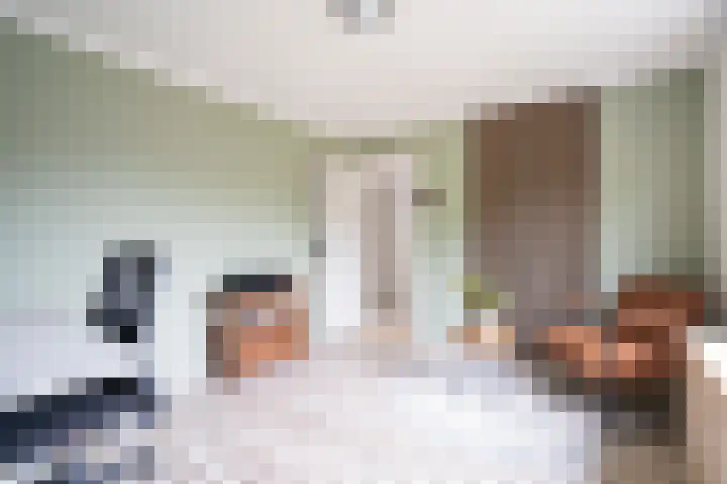 Vijfmorgen 34 Sleeuwijk thumbnail 16