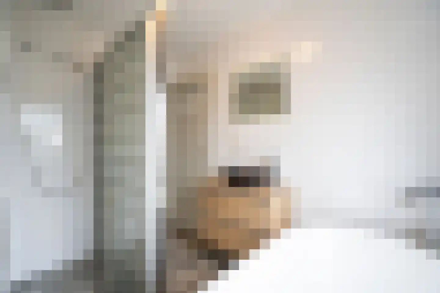 Vijfmorgen 34 Sleeuwijk thumbnail 17