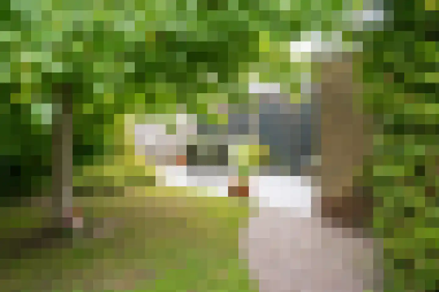 Vijfmorgen 34 Sleeuwijk thumbnail 23