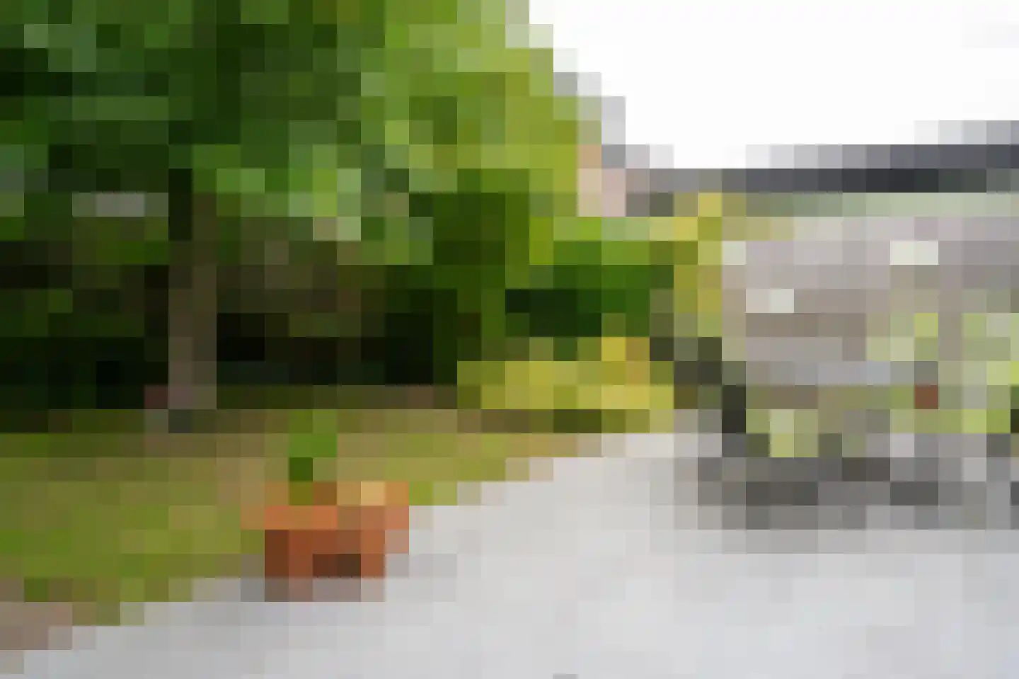 Vijfmorgen 34 Sleeuwijk thumbnail 24