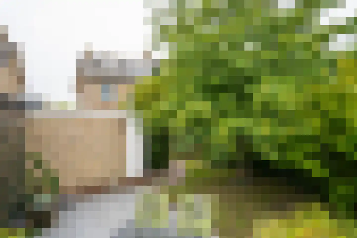 Vijfmorgen 34 Sleeuwijk thumbnail 25
