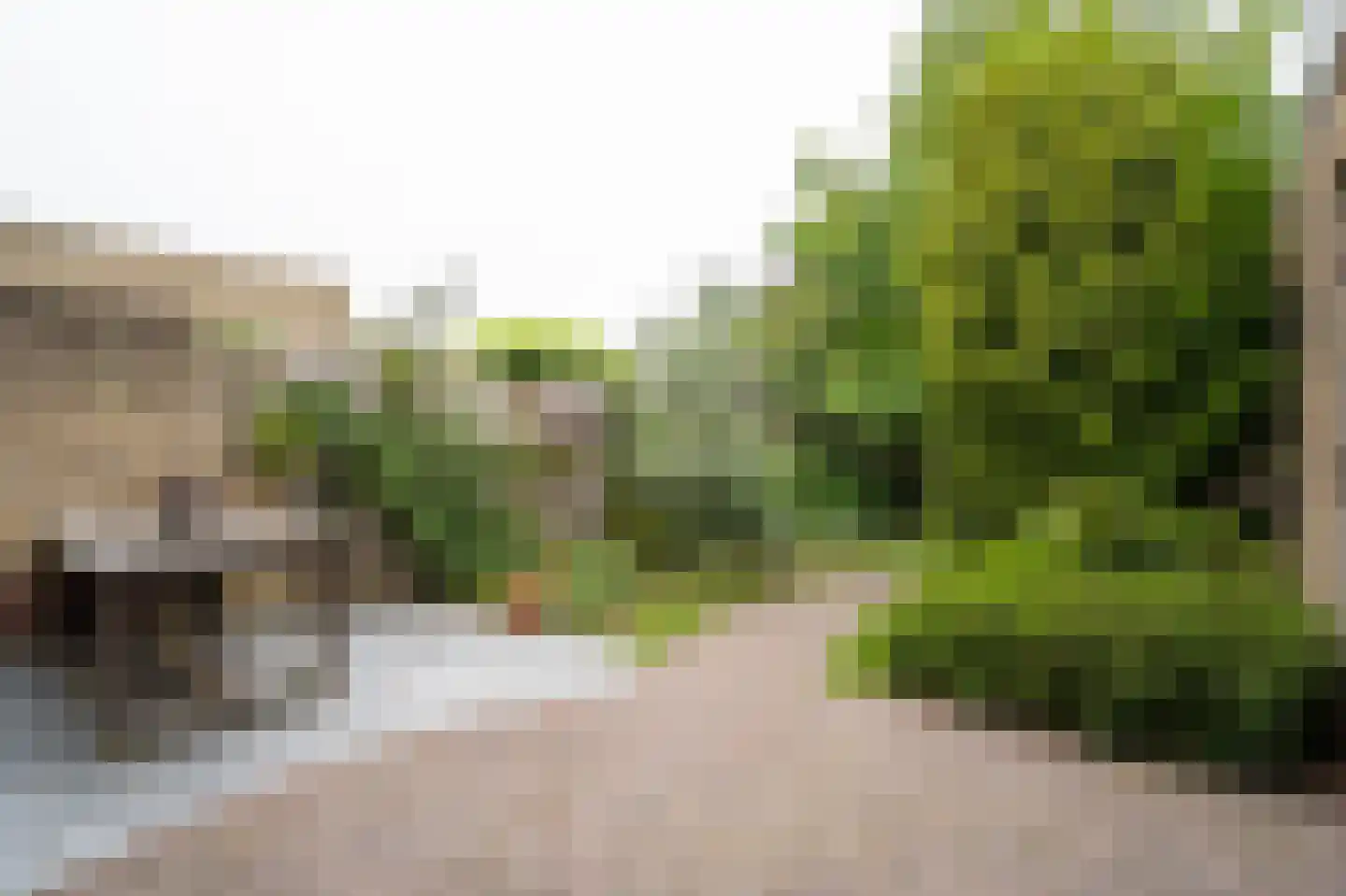 Vijfmorgen 34 Sleeuwijk thumbnail 26