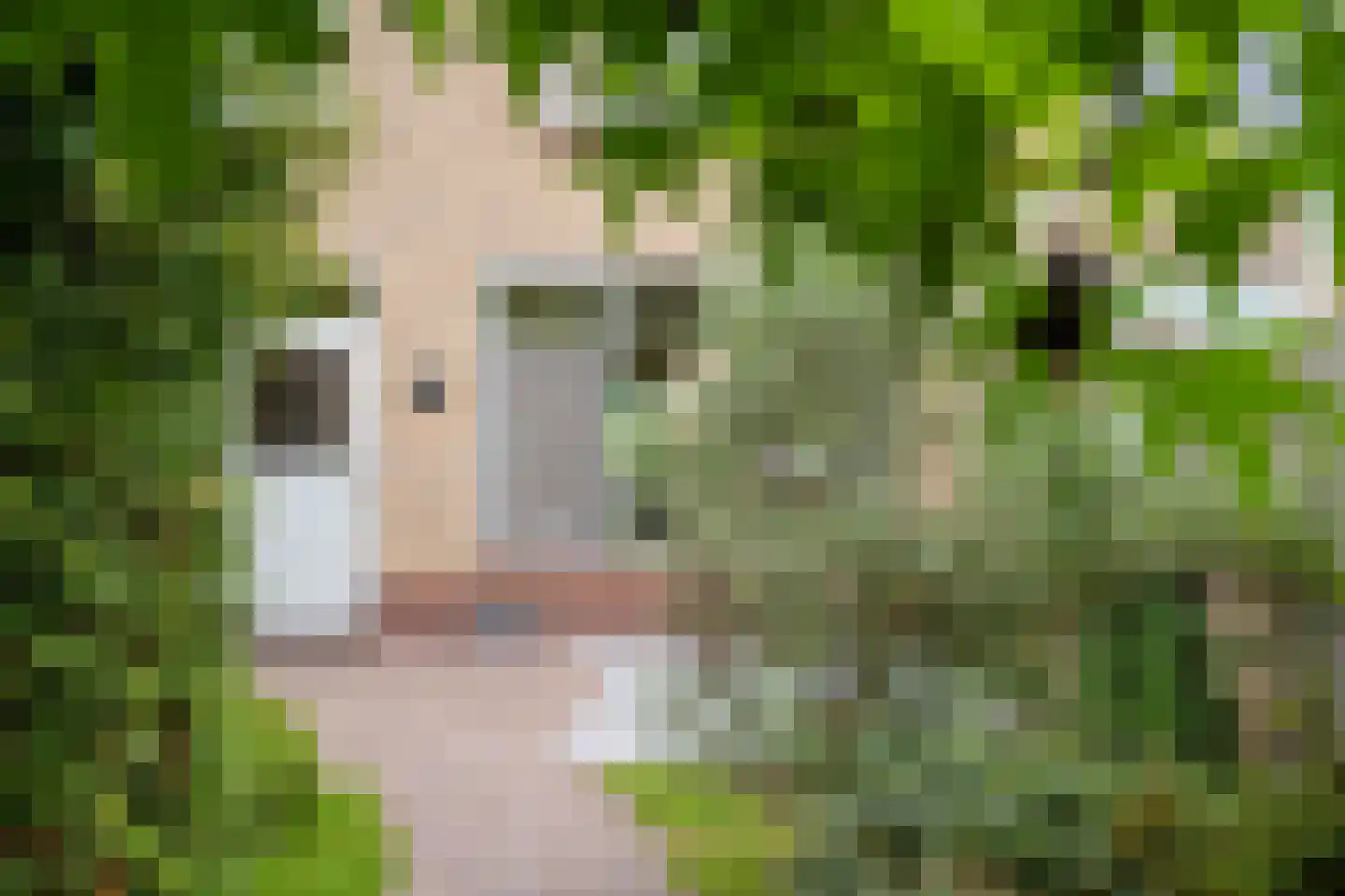 Vijfmorgen 34 Sleeuwijk thumbnail 27