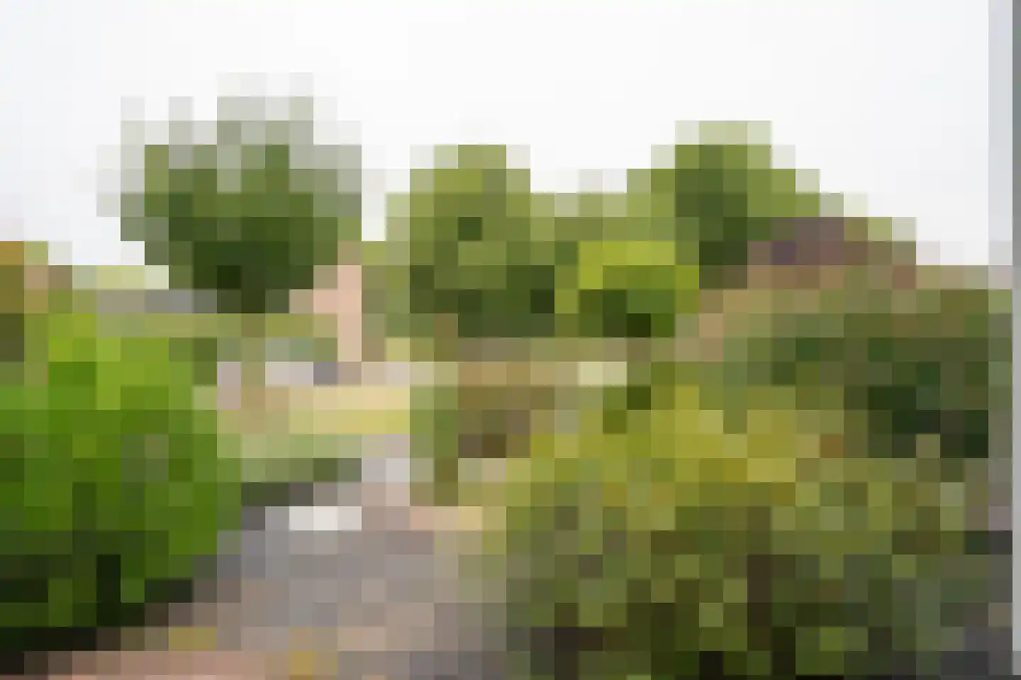 Vijfmorgen 34 Sleeuwijk thumbnail 28