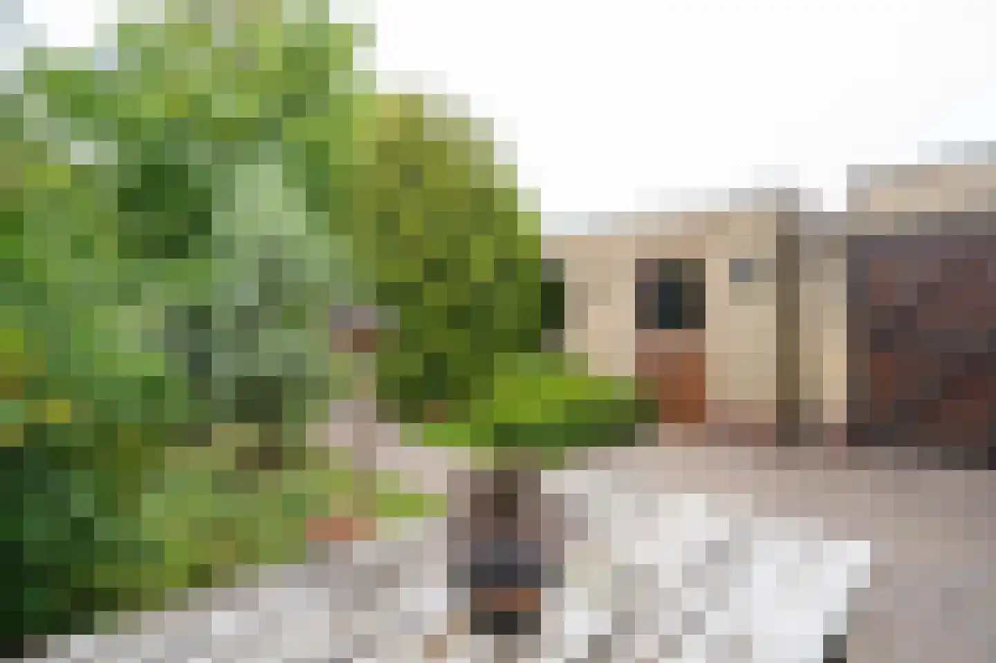 Vijfmorgen 34 Sleeuwijk thumbnail 4
