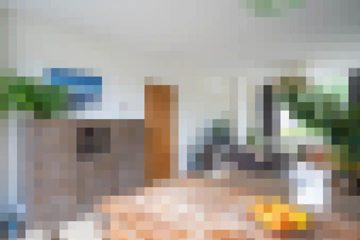 Vijfmorgen 34 Sleeuwijk thumbnail 8