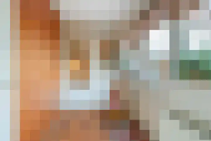 Vijfmorgen 4 Sleeuwijk thumbnail 22
