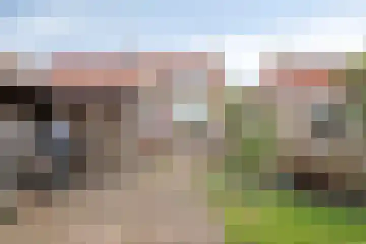 Vijfmorgen 4 Sleeuwijk thumbnail 38