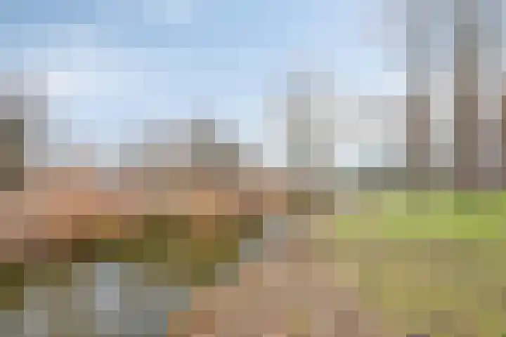 Vijfmorgen 4 Sleeuwijk thumbnail 44