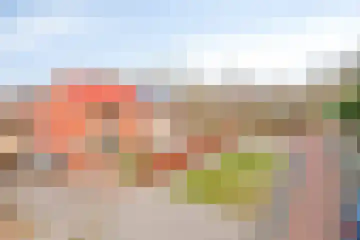 Vijfmorgen 4 Sleeuwijk thumbnail 5