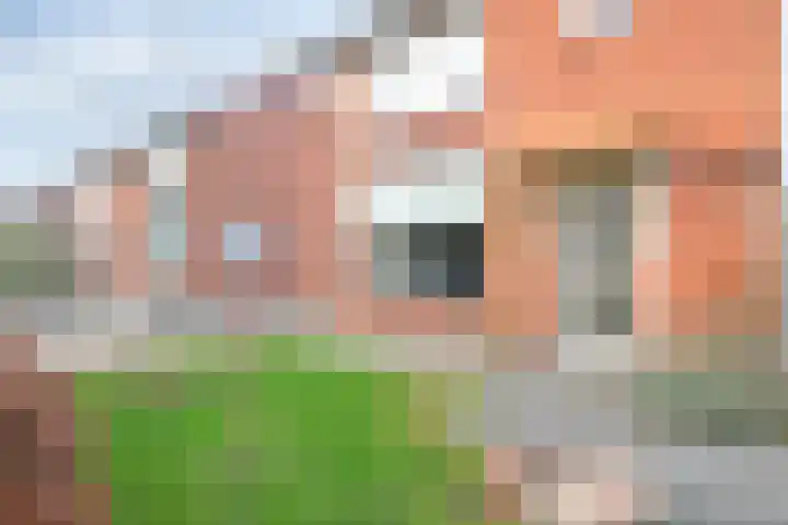 Vijfmorgen 4 Sleeuwijk thumbnail 6