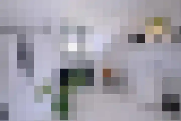 Vijfmorgenstraat 3 Zutphen thumbnail 23