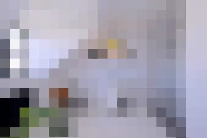 Vijfmorgenstraat 3 Zutphen thumbnail 24