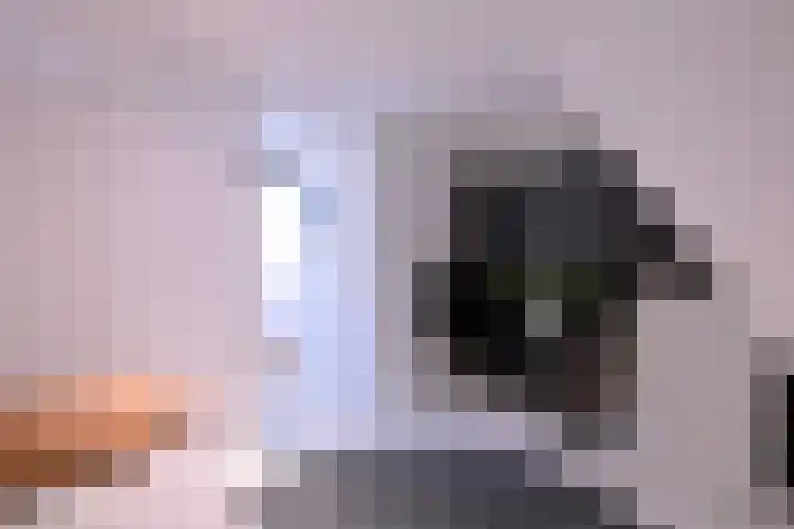 Vijfmorgenstraat 3 Zutphen thumbnail 31
