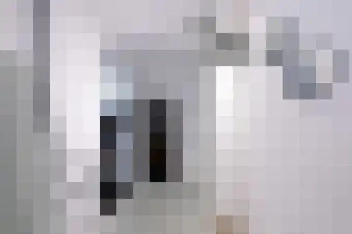 Vijfmorgenstraat 3 Zutphen thumbnail 32
