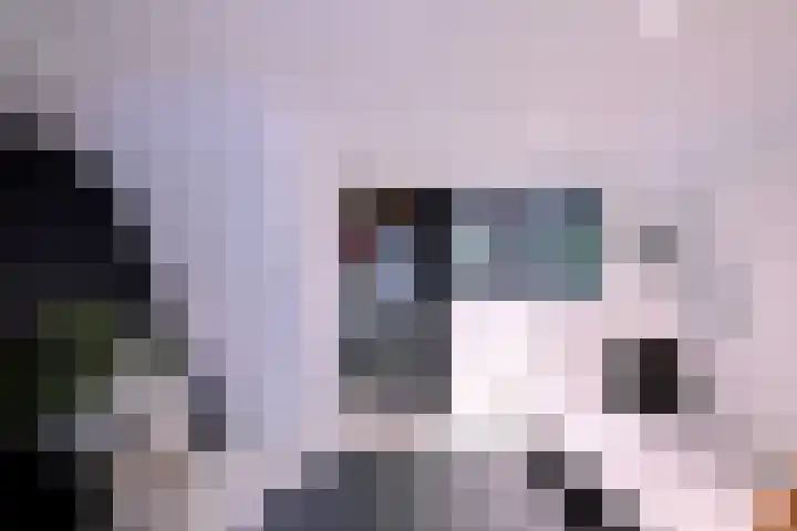 Vijfmorgenstraat 3 Zutphen thumbnail 37