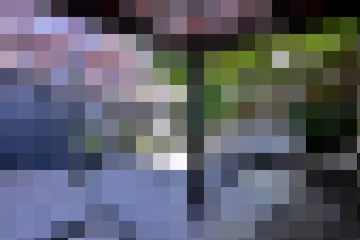 Vijfmorgenstraat 3 Zutphen thumbnail 40